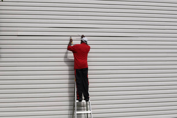 Best Steel Siding Installation  in Walled Lake, MI