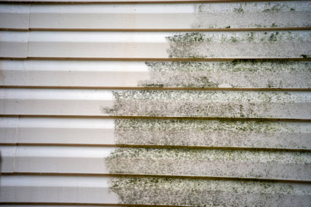 Best Siding Removal and Disposal  in Walled Lake, MI