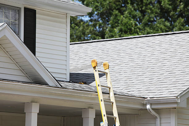 Best Storm Damage Siding Repair  in Walled Lake, MI